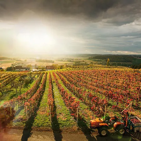 Sonnenterrasse Kloecklschuster * Klochberg