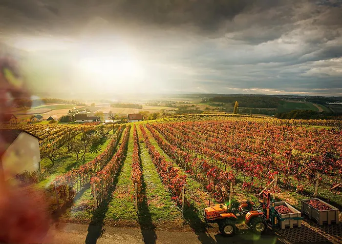 Sonnenterrasse Kloecklschuster *